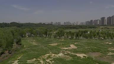 夏天城市人文自然风光绿色实景拍摄视频的预览图